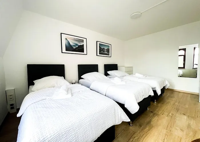 Apartament House Deluxe - 15min To Dus & Free Parking Krefeld