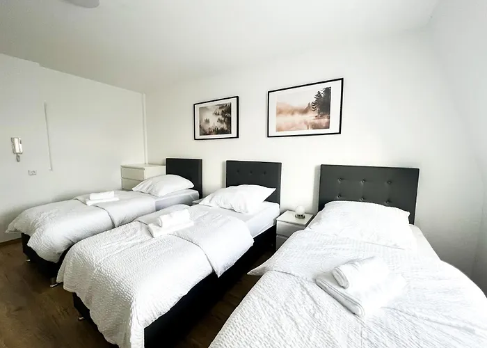 House Deluxe - 15min To Dus & Free Parking Krefeld